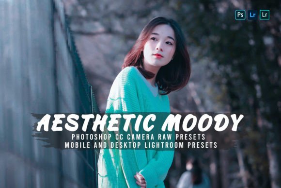 Download 10 Aesthetic Moody Presets - Moody presets Collection