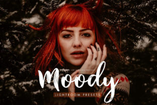 Download Moody Presets for Desktop + Mobile - Moody presets Collection